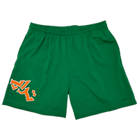 Arch Mesh Shorts - Boston Green